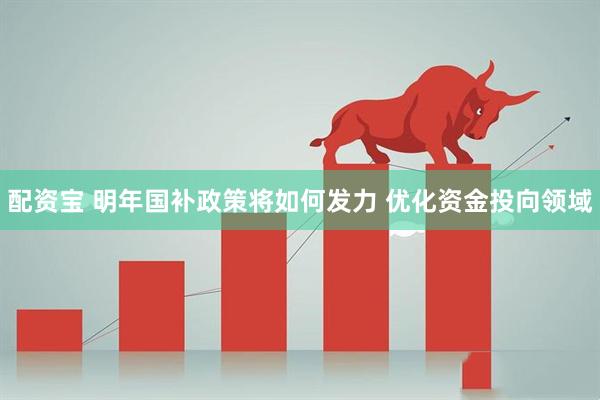配资宝 明年国补政策将如何发力 优化资金投向领域